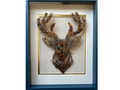 Pluma Artifact #06 the STAG